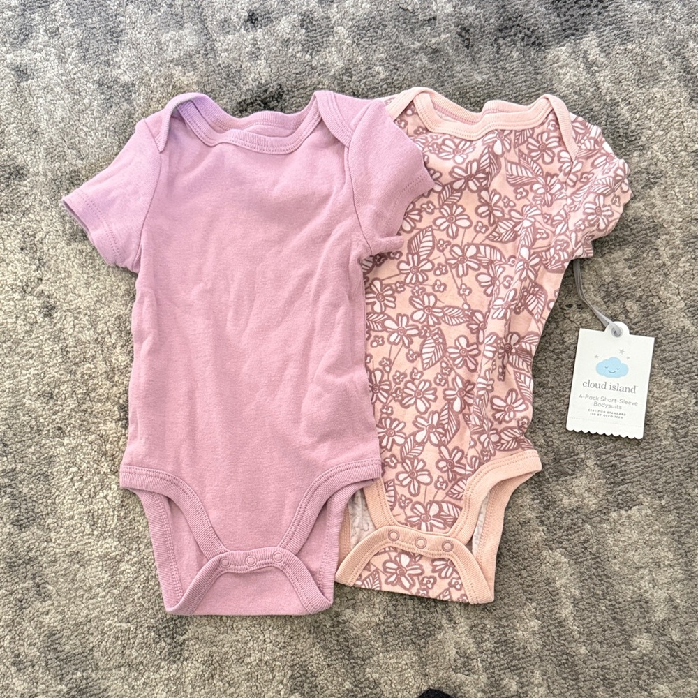 Cloud Island Lavender and Floral Bodysuit Set of 2